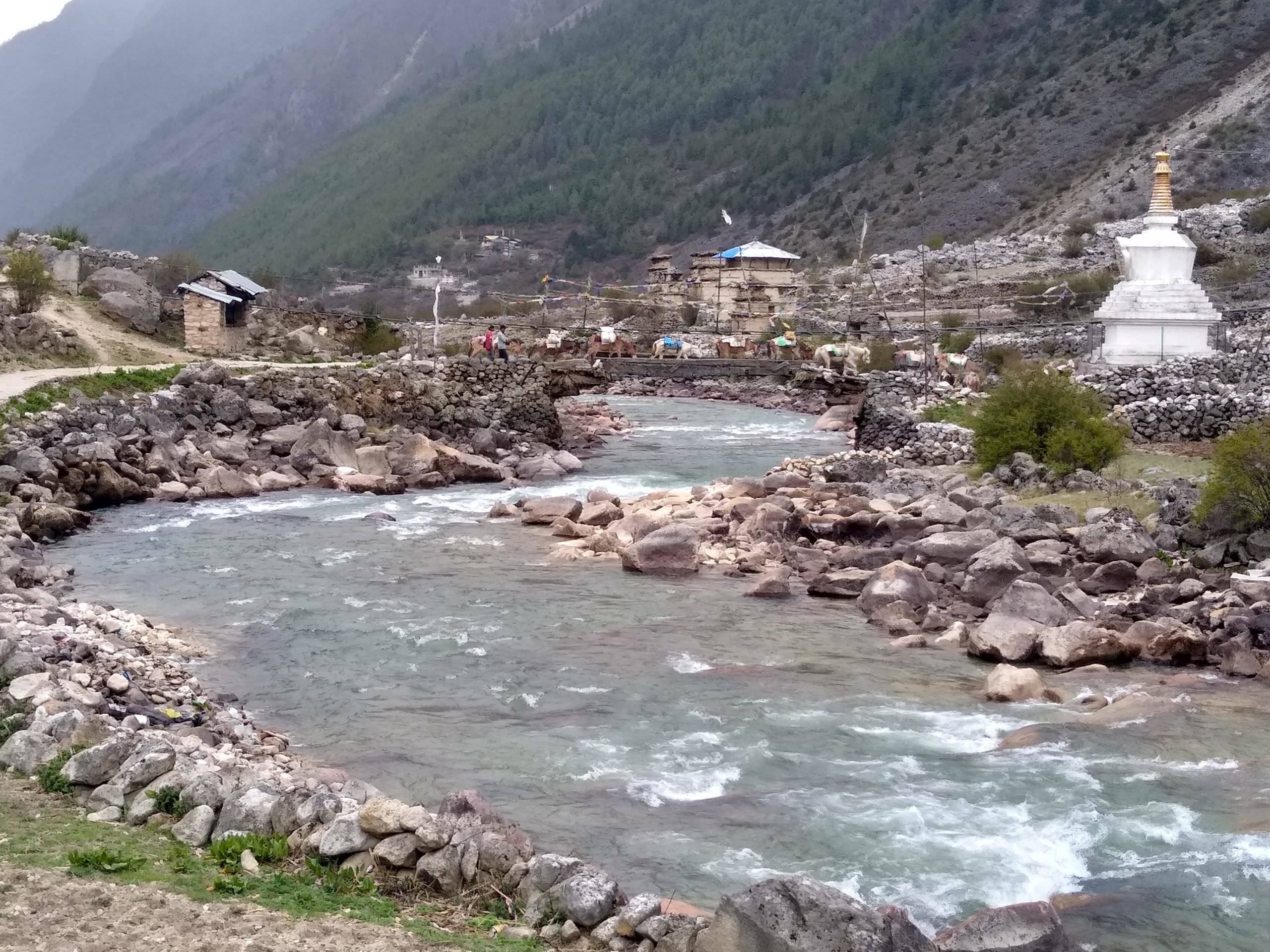 A river with a bridge in the background