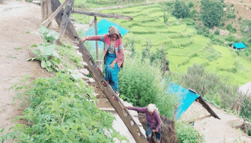 women working in the field GEDSI